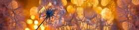Кухонный фартук Мерцание Одуванчики золотистые 3 серебро в Оренбурге - orenburg.katalogmebeli.com | фото