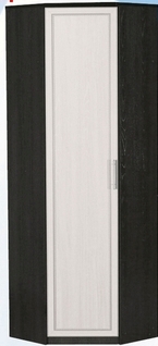 Шкаф для одежды угловой ДЛЯ ГОСТИНОЙ ШОУ-695 Венге/Дуб выбеленный в Оренбурге - orenburg.katalogmebeli.com | фото